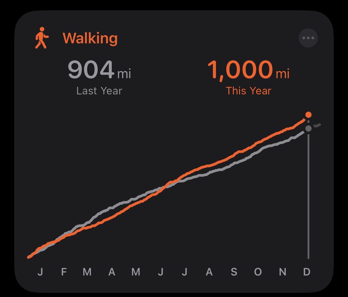1000 miles in 2025