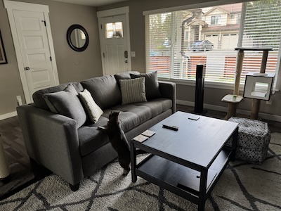 New couch